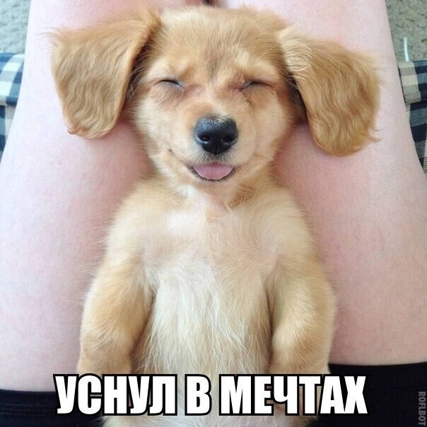 Картинки и мемы для настроения