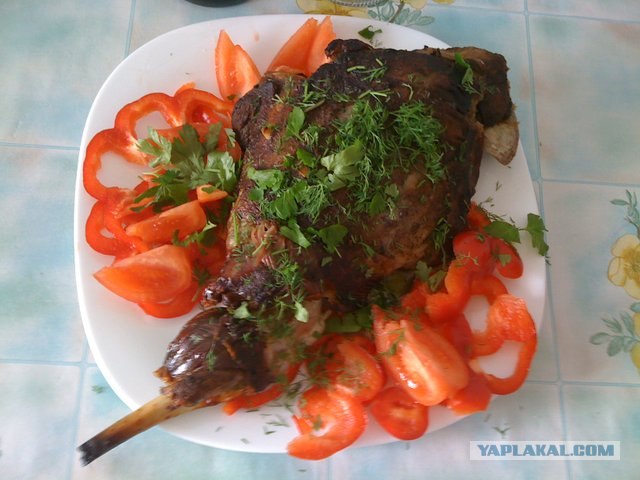 Эксперименты с мясом