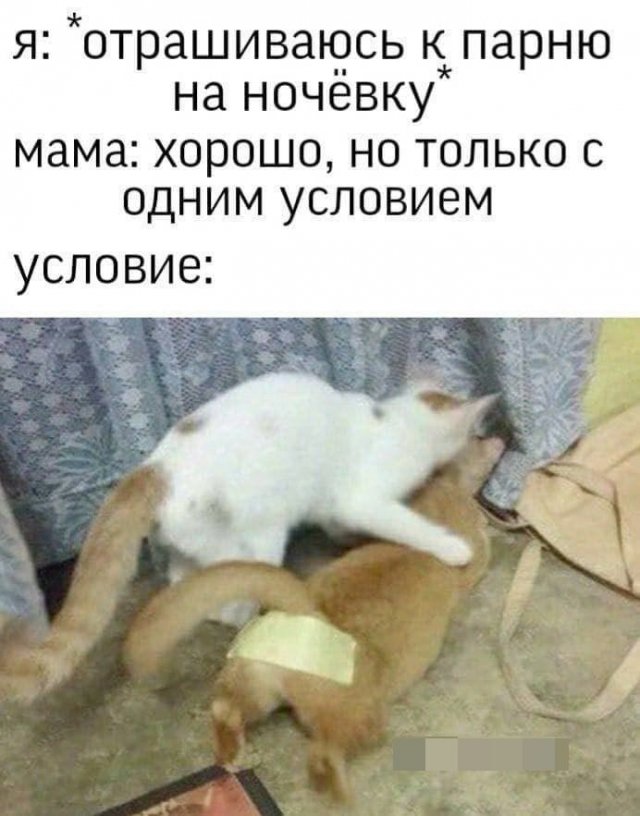 Картинки и мемы для настроения 23.06.2021