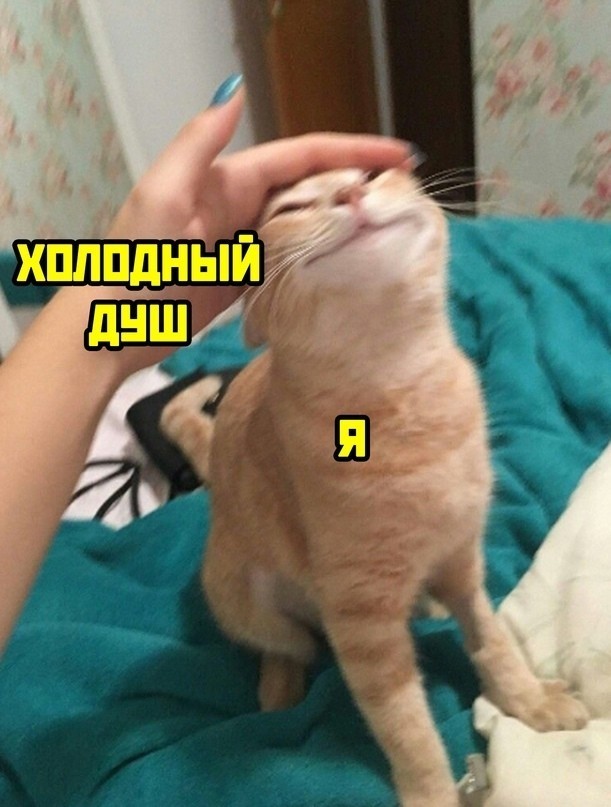 Воскресная лента анекдотов с матом и картинками