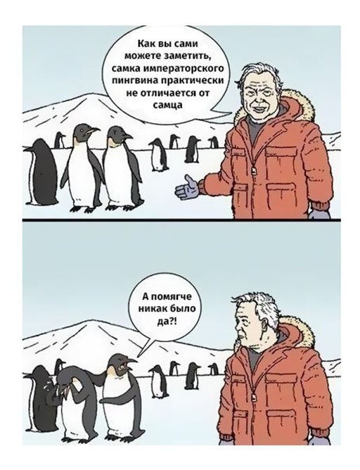 Картинки и мемы для настроения 02.08.2021