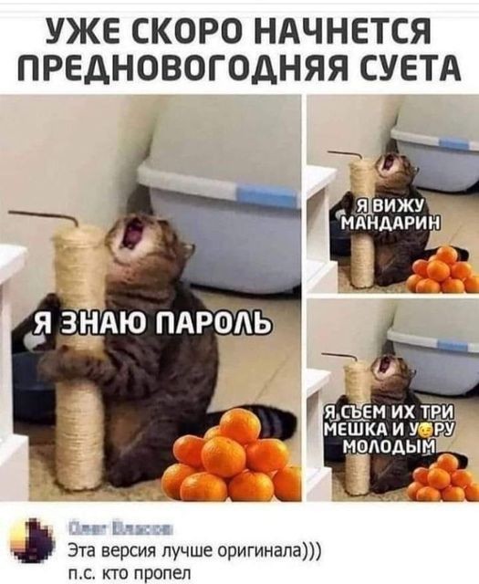Алкопост 17.12.21