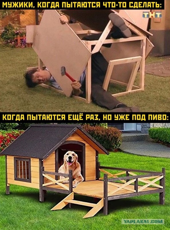 Картинки и мемы для настроения  - 25