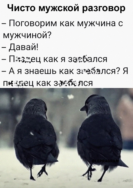 40 картинок разных 01.02.2022