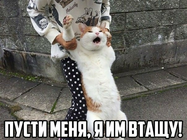 Симоньян под лупой