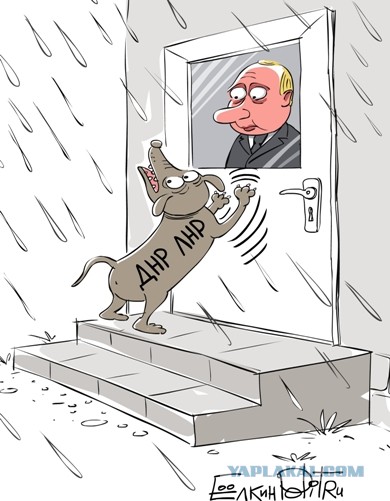 Голландцы начали выселять украинских беженцев из своих домов из-за отпусков
