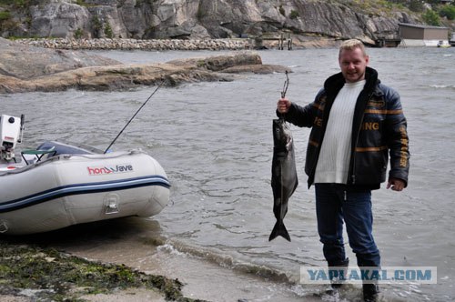 Моя первая рыбалка...