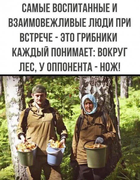 Деградация лайт 13.10.2022