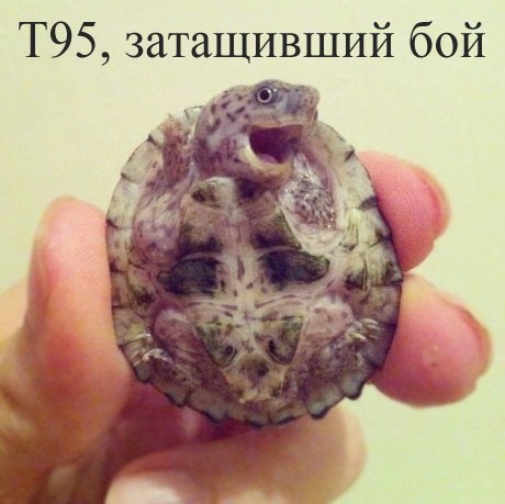 Wargaming 2