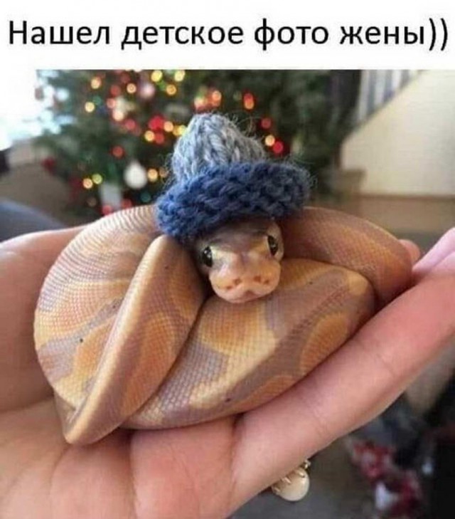 Так себе картинки 20.12.22
