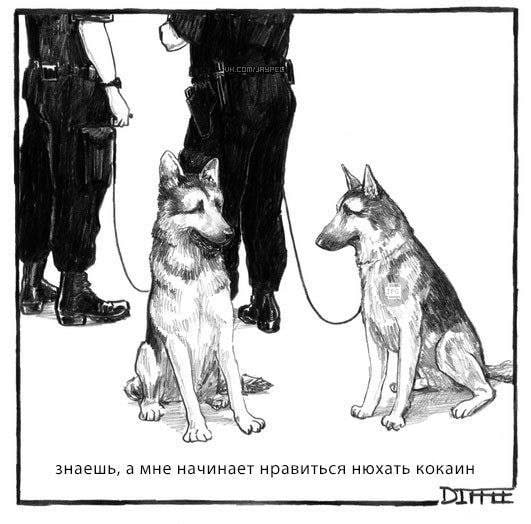 Картинки аморальные и всякие разные - 45