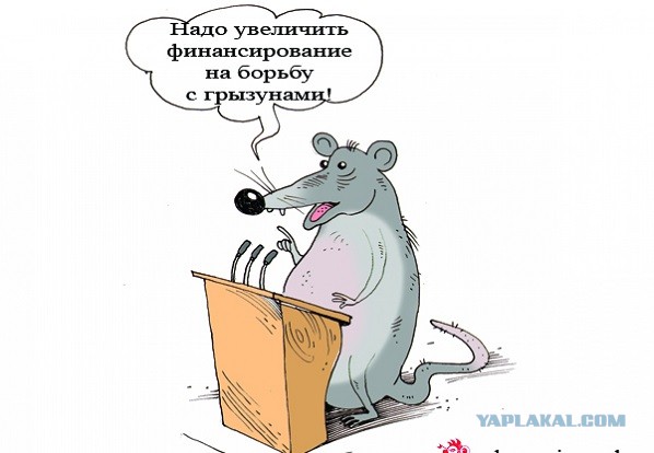 Депутат Госдумы предложил вернуться к переходу на зимнее и летнее время