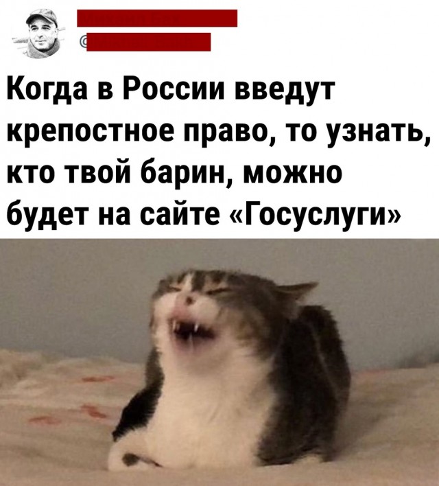 Немного картинок для настроения - 155