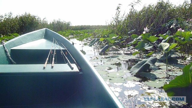 Рыбалка в Астрахани