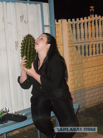 Поразвлекаемся, господа? :)