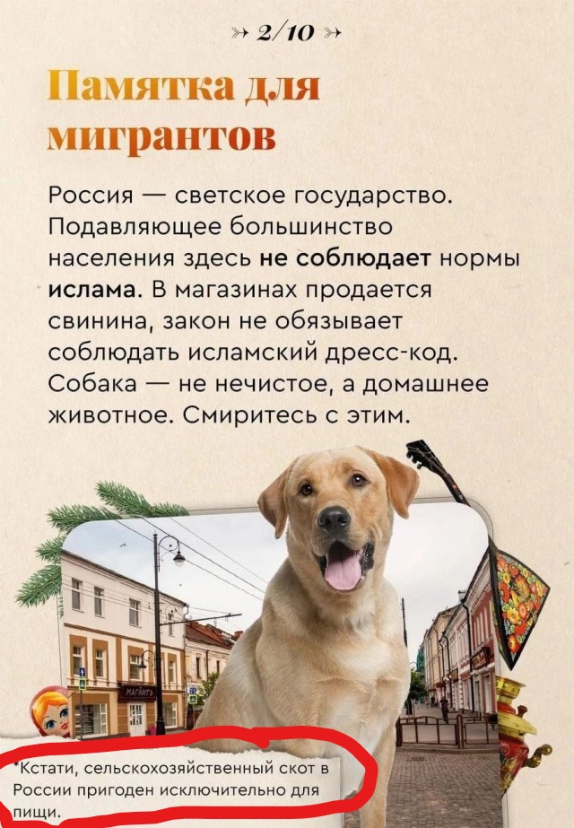 В Москве выпустили памятки для мигрантов