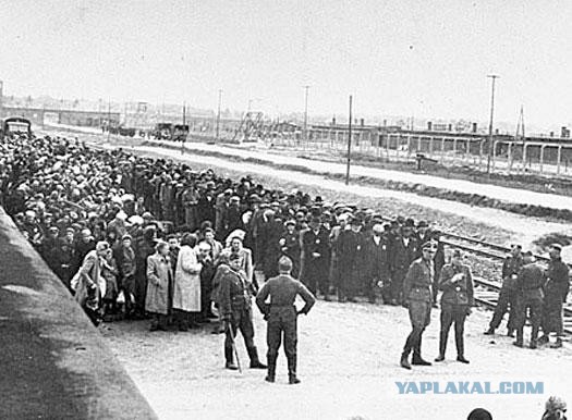 Ургант извиняется за чудовищную шутку