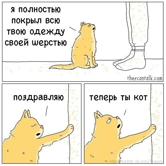 Так себе картинки 27.08.23