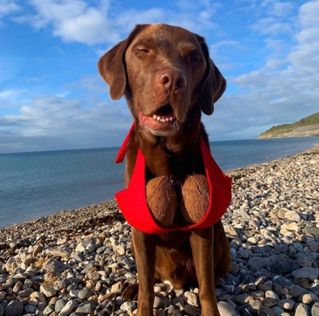 Тернистый путь любви. Лит.конкурс "Пятак"