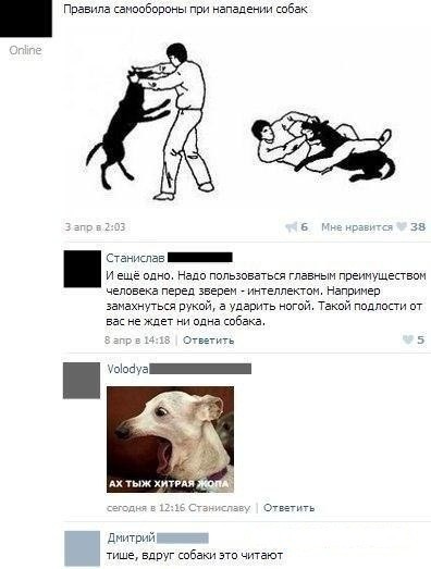Приколы с налетом деградации