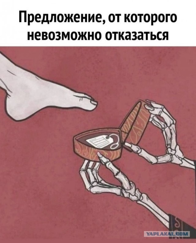 Всего понемногу. От 10.04.2024