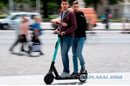 Не оскудеет земля русская... дураками