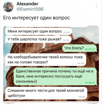 Весёлый полтишок 29.10.24