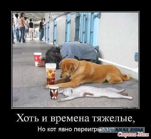 Тарифы за ввоз иномарок в Россию вырастут с нового года