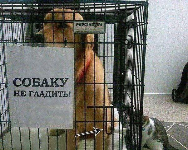Завалялось тут случайно немного забавных картинок