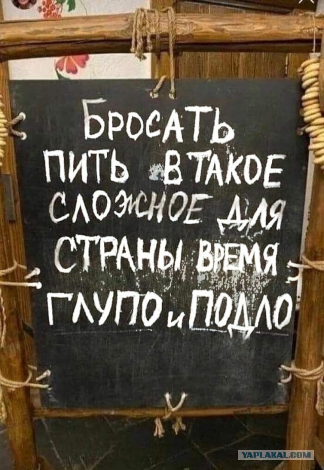 Так себе картинки 06.02.25