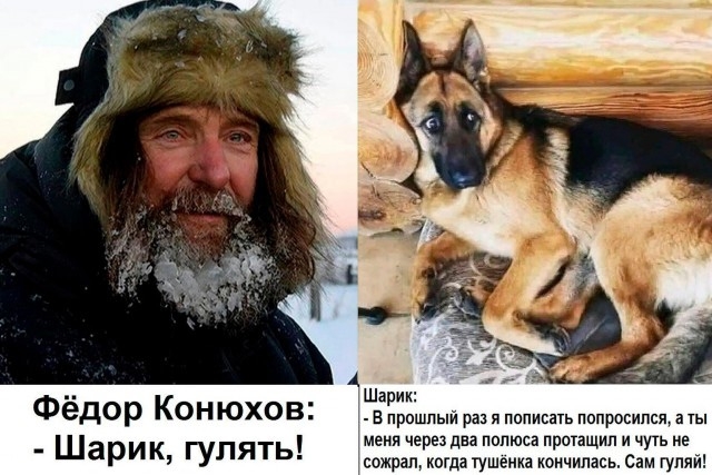Назовете слово целиком?