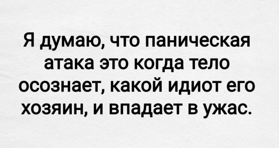 20762804.jpg