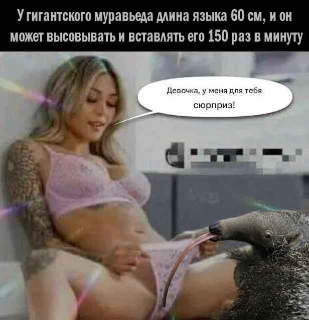 Забавные и не очень скромные картинки - 26