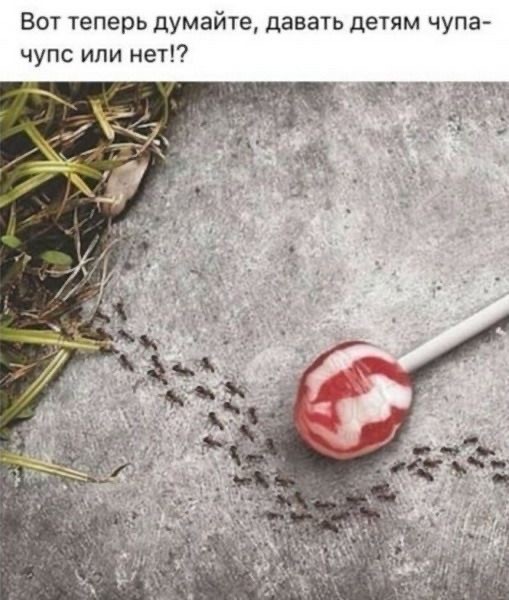 Воскресные картинки