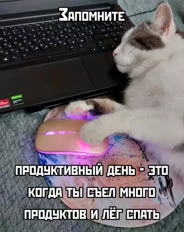 Картиночки, баянчики 13 марта