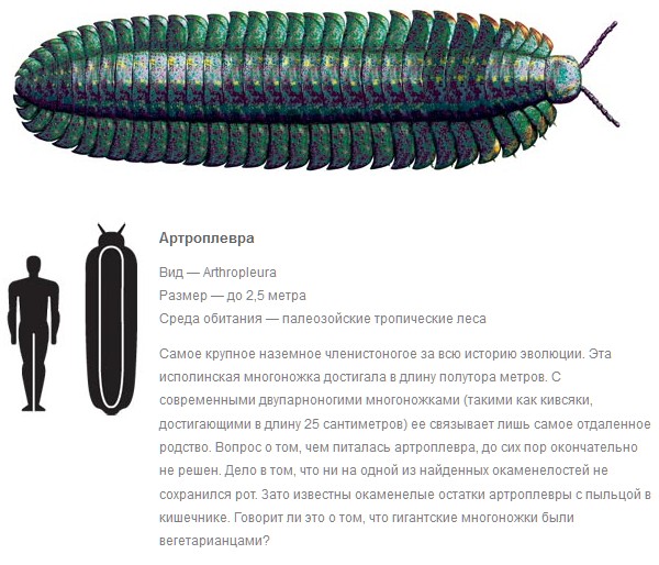 Спиногрызы.