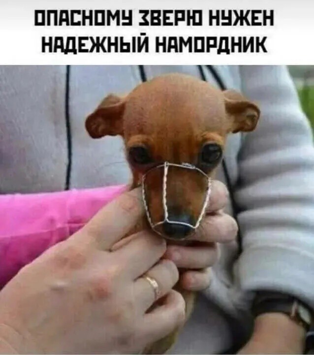Капля юмора 2