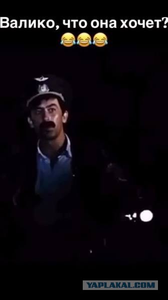 Ночная бабочка "стройные ножки"