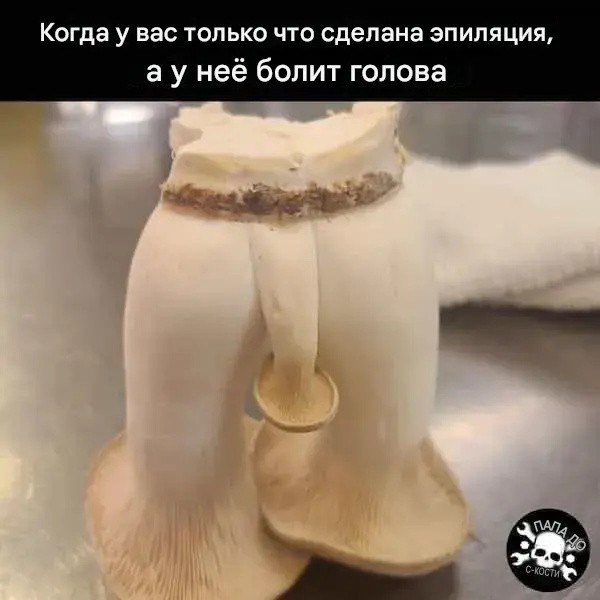Забавные и не очень скромные картинки-37