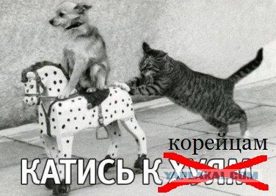 Северокорейский "голодомор "