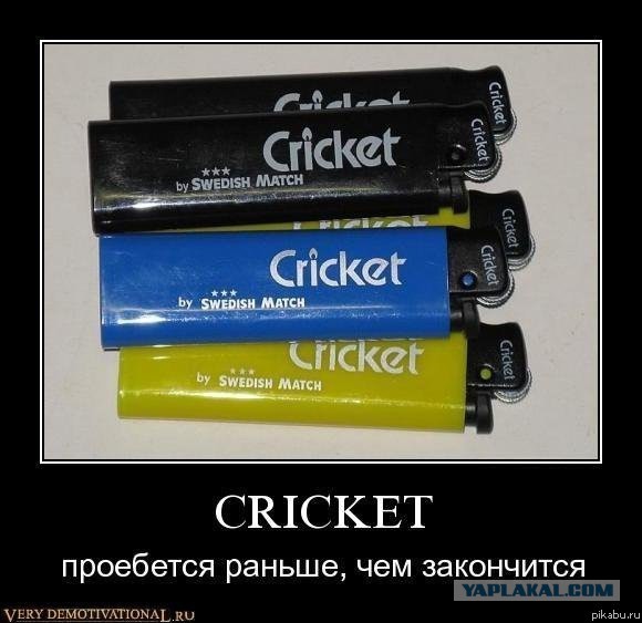 Моя коллекция