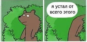 У них там своя атмосфера...