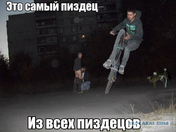 Самые известные фотобомбы уходящего года