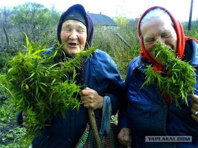 Славянки