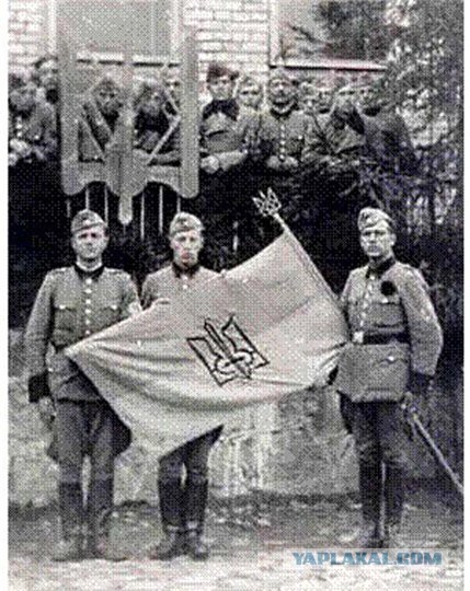 Бойцы украинского "Беркута" просят убежища