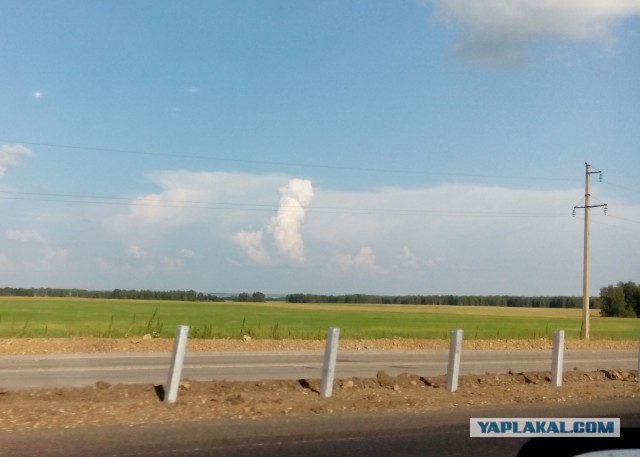 Пролетала как-то собака над городом...