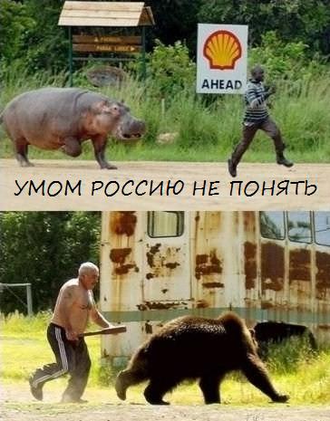 Веселые картинки.