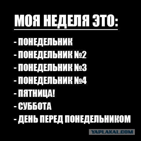 Смешные комментарии из социальных сетей 11.11.2014