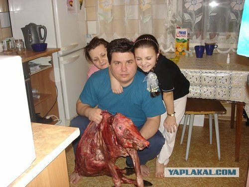 Финальная сцена из Стражей галактики