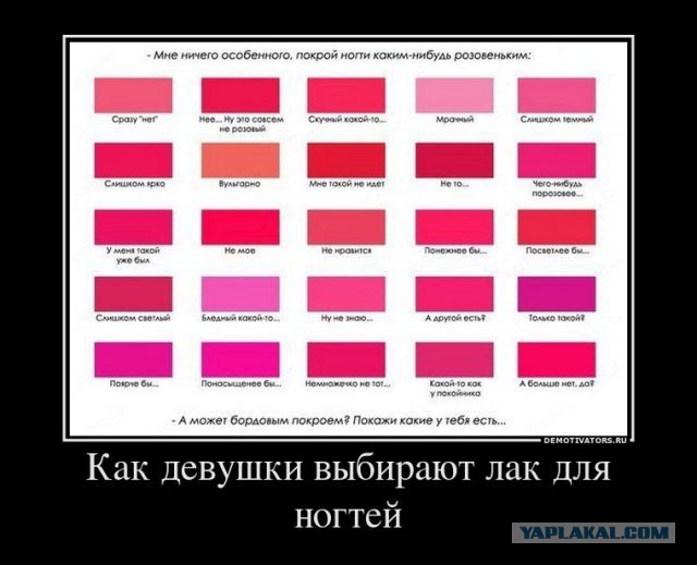 Жена только что спросила каким цветом ей накрасить